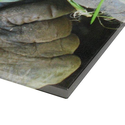 Ape Kapuze ~ Japanischer Gorilla Eating Schneidebrett (Ecke)