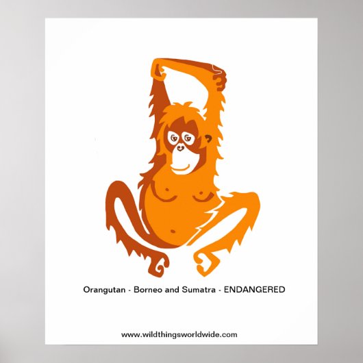 Ape - ORANGUTAN - gefährdetes Tier Poster (Vorne)