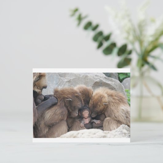 Ape Postkarte (Stehend Vorderseite)