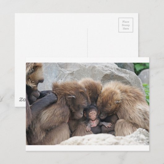 Ape Postkarte (Vorne/Hinten)