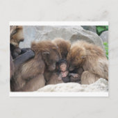 Ape Postkarte (Vorderseite)