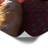 Aperitif und Aperitifs zubereitet: Brot, Oliven, Poster (Ecke)