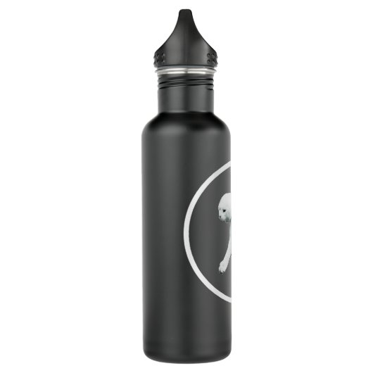 Aperture Laboratories Edelstahlflasche (Links)