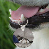 Apex Predator Fat lazy cat keychain Schlüsselanhänger