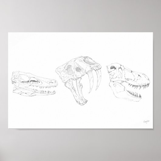 Apex Print Poster (Vorne)