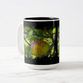Äpfel 6 Grauschwarze Zweifarbige Tasse (Vorderseite Links)