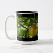 Äpfel 6 Grauschwarze Zweifarbige Tasse (Links)