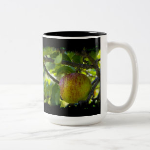 Äpfel 6 Grauschwarze Zweifarbige Tasse