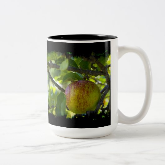 Äpfel 6 Grauschwarze Zweifarbige Tasse (Rechts)