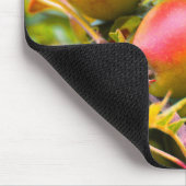 Äpfel am Baum Mousepad (Ecke)