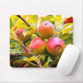 Äpfel am Baum Mousepad (Mit Mouse)