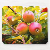 Äpfel am Baum Mousepad (Vorne)