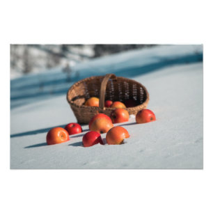 Äpfel auf dem Schnee Fotodruck