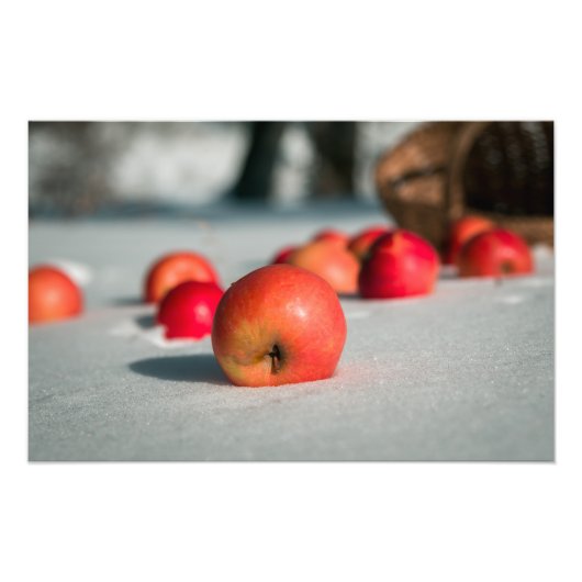 Äpfel auf dem Schnee Fotodruck (Vorne)