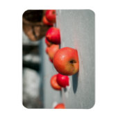 Äpfel auf dem Schnee Magnet (Vertikal)