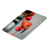 Äpfel auf dem Schnee Magnet (Linke Seite)