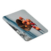 Äpfel auf dem Schnee Magnet (Rechte Seite)