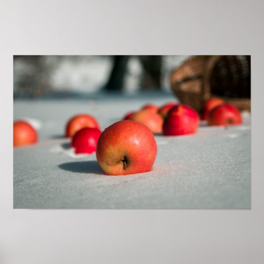Äpfel auf dem Schnee Poster (Vorne)