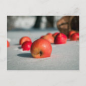 Äpfel auf dem Schnee Postkarte (Vorderseite)