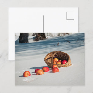 Äpfel auf dem Schnee Postkarte