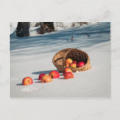 Äpfel auf dem Schnee Postkarte (Vorderseite)