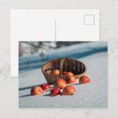 Äpfel auf dem Schnee Postkarte (Vorne/Hinten)