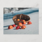 Äpfel auf dem Schnee Postkarte (Vorderseite)