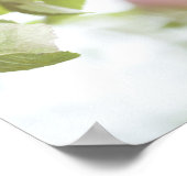 Äpfel auf dem Zweig des Baumes. Poster (Ecke)