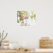 Äpfel auf dem Zweig des Baumes. Poster (Küche)
