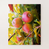 Äpfel auf einem Baum Puzzle (Vertikal)