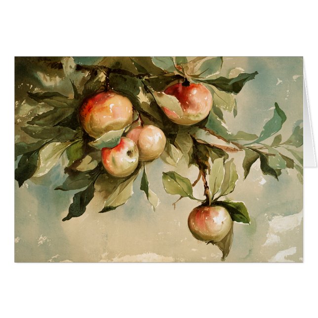 Äpfel auf einem Zweig (Vorderseite (Horizontal))