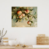 Äpfel auf einem Zweig Poster (Küche)