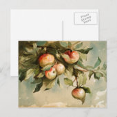 Äpfel auf einem Zweig Postkarte (Vorne/Hinten)