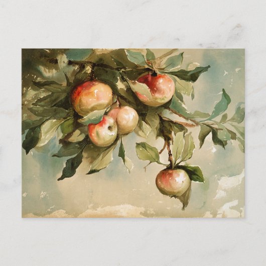 Äpfel auf einem Zweig Postkarte (Vorderseite)
