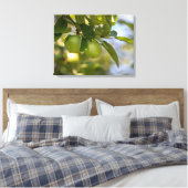 Äpfel auf Zweig Leinwanddruck (Insitu (Schlafzimmer))