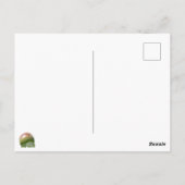 Äpfel auf Zweig Postkarte (Rückseite)