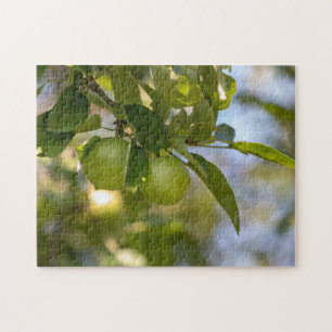 Äpfel auf Zweig Puzzle