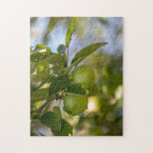 Äpfel auf Zweig Puzzle (Vertikal)