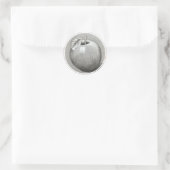Apfel-Aufkleber 4 Runder Aufkleber (Tasche)