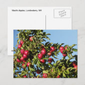 Äpfel aus Mack Postkarte (Vorne/Hinten)