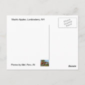 Äpfel aus Mack Postkarte (Rückseite)