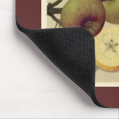 Apfel-botanische Vintage deutsche Illustration Mousepad (Ecke)