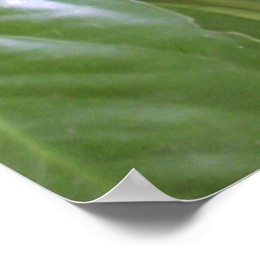 Äpfel der Berge II Poster (Ecke)