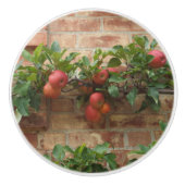 ÄPFEL, DIE AUF BACKSTEINMAUER ESPALIER WACHSEN KERAMIKKNAUF (Vorderseite)