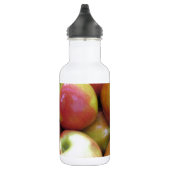 Äpfel Edelstahlflasche (Rechts)