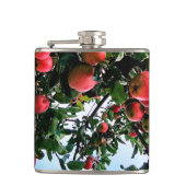 Äpfel Flachmann (Vorderseite)