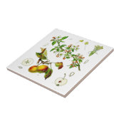 Apfel Fliese (Seite)