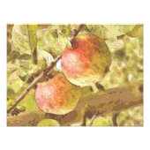 ÄPFEL FOTODRUCK (Vorne)