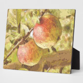 ÄPFEL FOTOPLATTE (Seite)