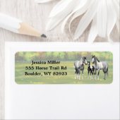 Apfel-Graupferd in der Sommerweide (Insitu)